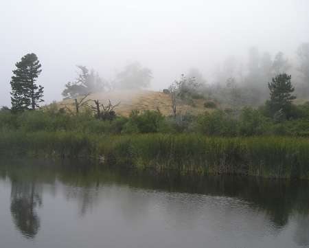 Fog bank at 2200 feet