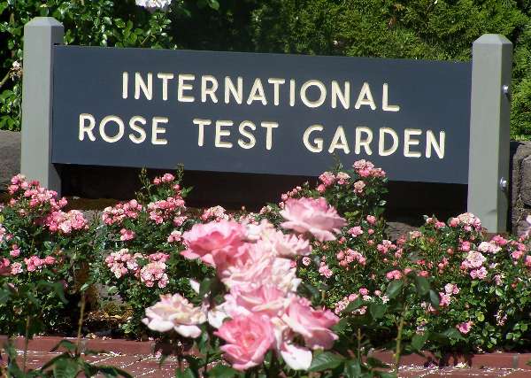 Rose Test Gardens