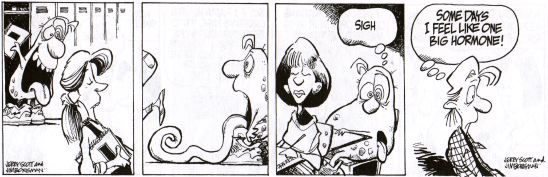 Zits strip
